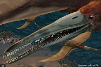 Found: 120-Million-Year-Old Colony of Fossilized Flying Reptiles, Plus  Their Eggs, Science